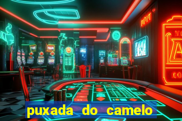 puxada do camelo no jogo do bicho